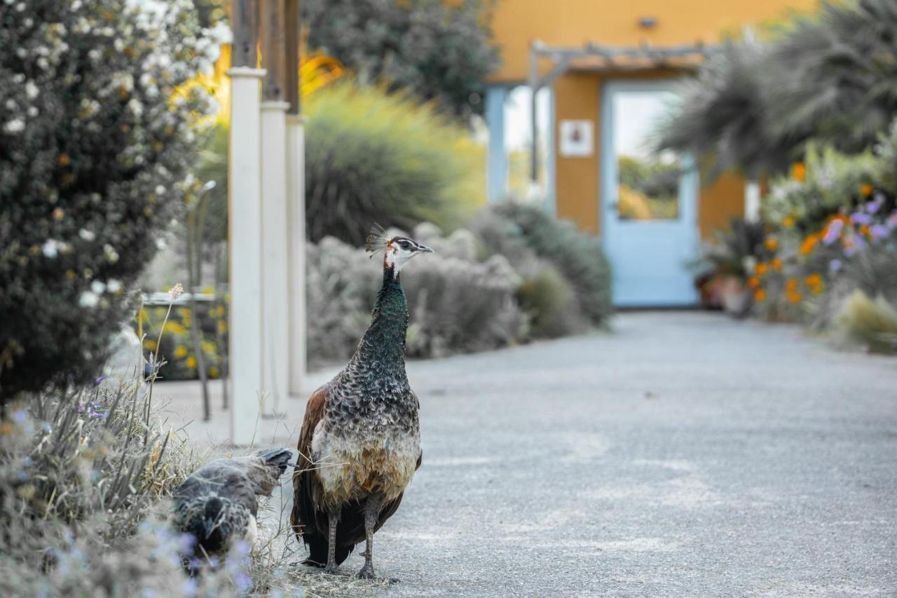 Aquae Sinis Albergo Diffuso Càbras Esterno foto